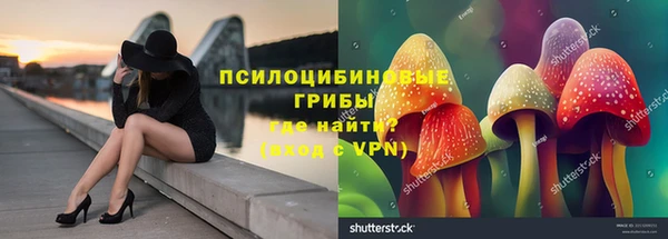 a pvp Богородицк