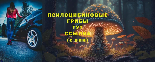 молекула духа Белоозёрский