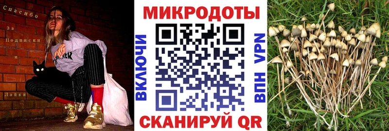 Псилоцибиновые грибы ЛСД  Купить  Каневская 